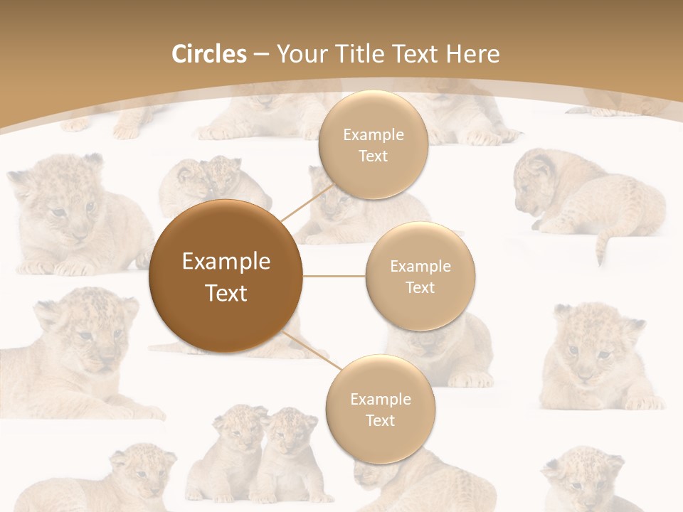 Ensemble Big Five Small PowerPoint Template