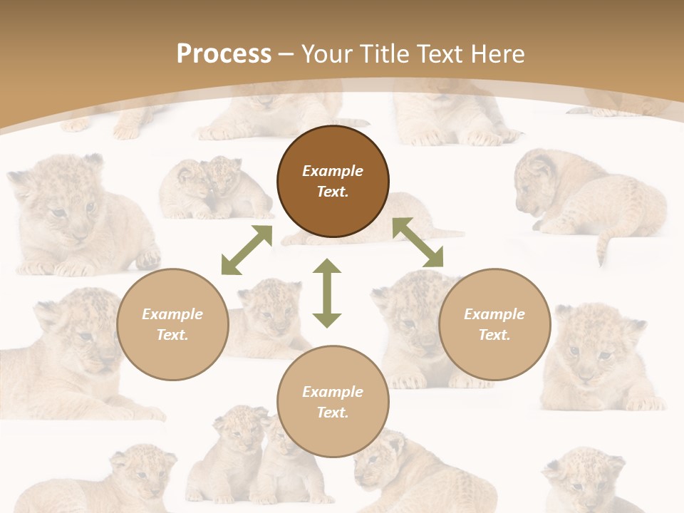 Ensemble Big Five Small PowerPoint Template