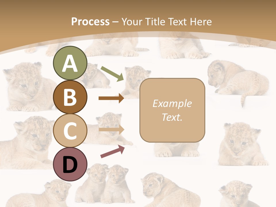 Ensemble Big Five Small PowerPoint Template