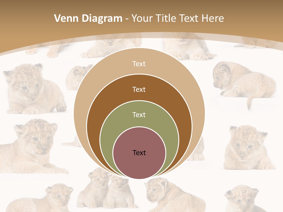 Ensemble Big Five Small PowerPoint Template