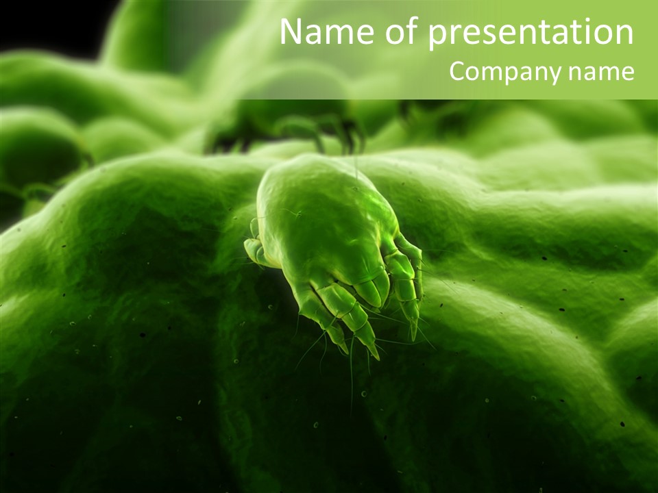 Dusty Acarian Acarine PowerPoint Template