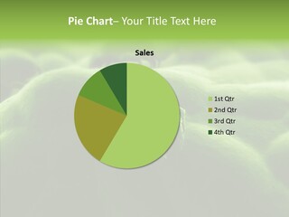 Dusty Acarian Acarine PowerPoint Template