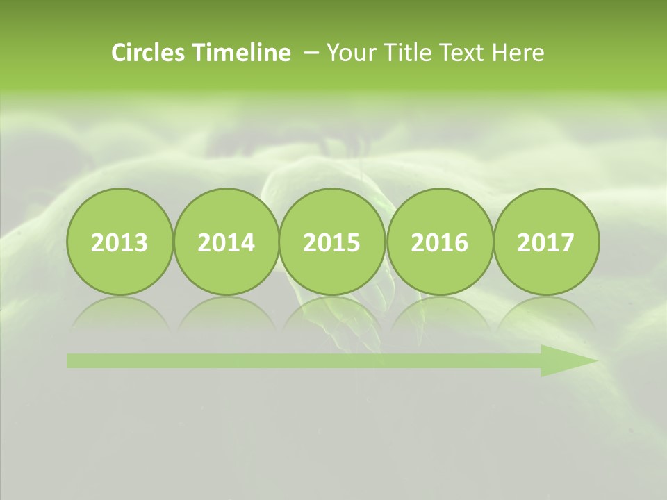 Dusty Acarian Acarine PowerPoint Template