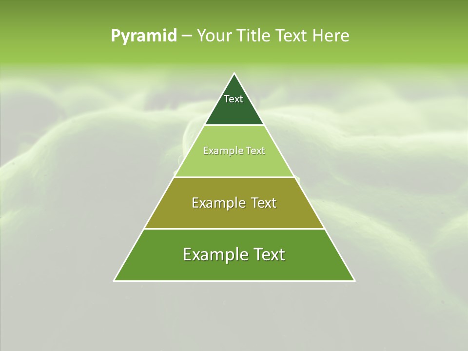 Dusty Acarian Acarine PowerPoint Template