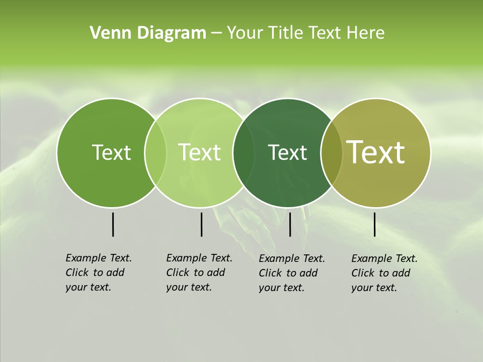 Dusty Acarian Acarine PowerPoint Template