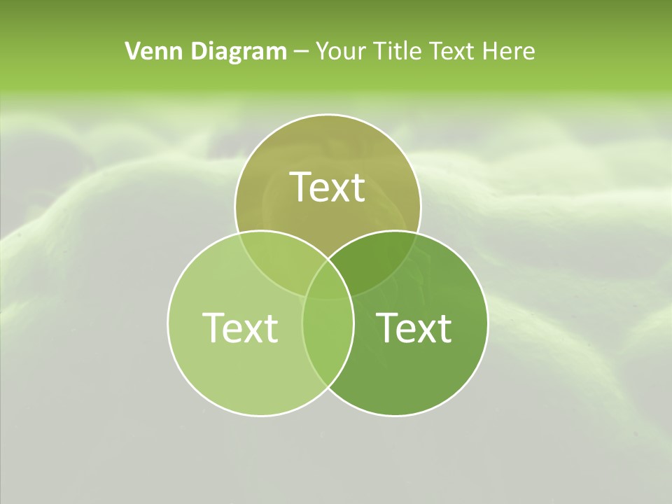 Dusty Acarian Acarine PowerPoint Template