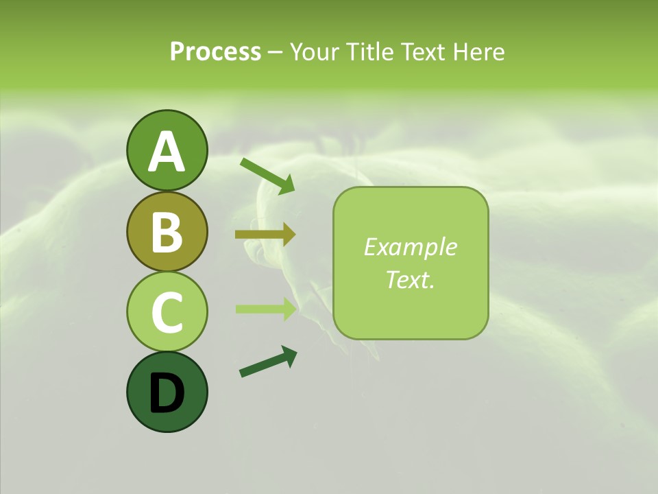 Dusty Acarian Acarine PowerPoint Template