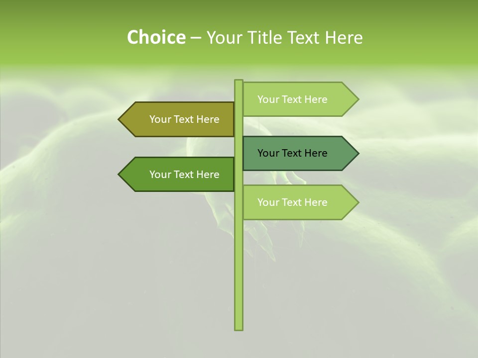 Dusty Acarian Acarine PowerPoint Template