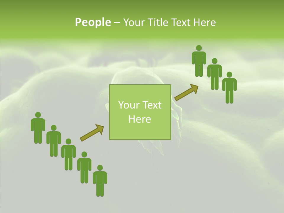 Dusty Acarian Acarine PowerPoint Template