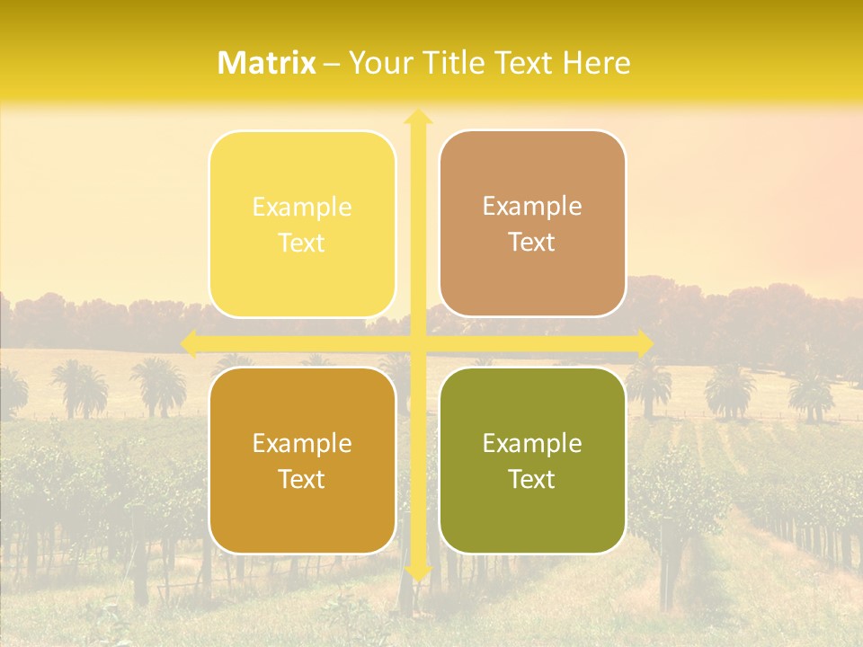 Tourism Blue Barossa PowerPoint Template