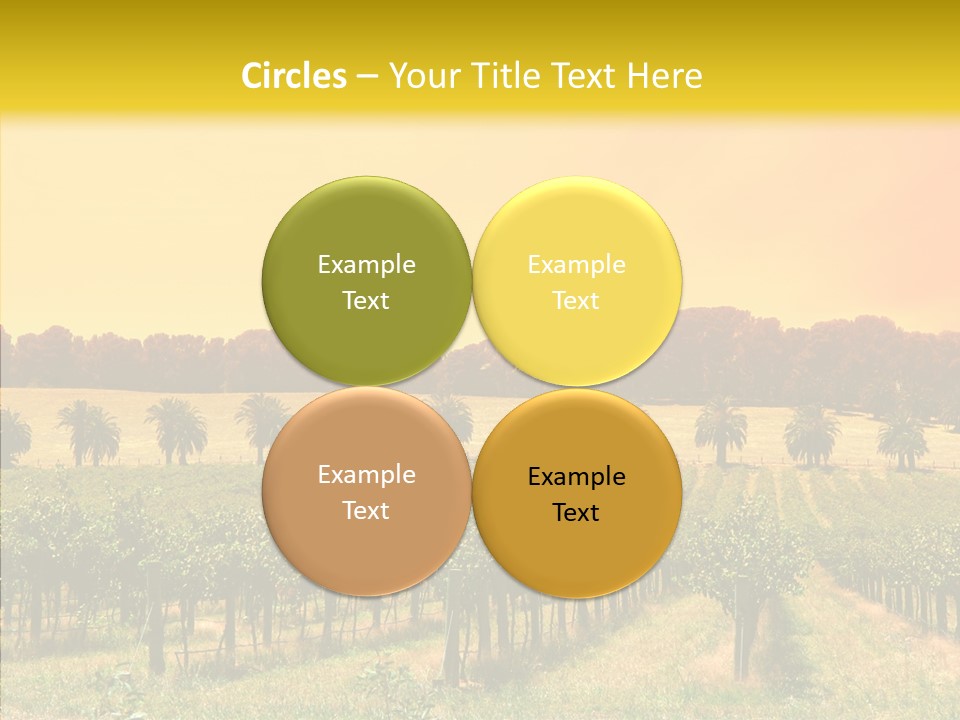 Tourism Blue Barossa PowerPoint Template