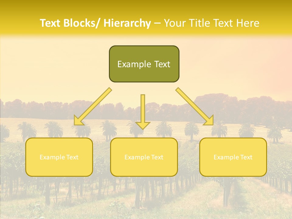 Tourism Blue Barossa PowerPoint Template