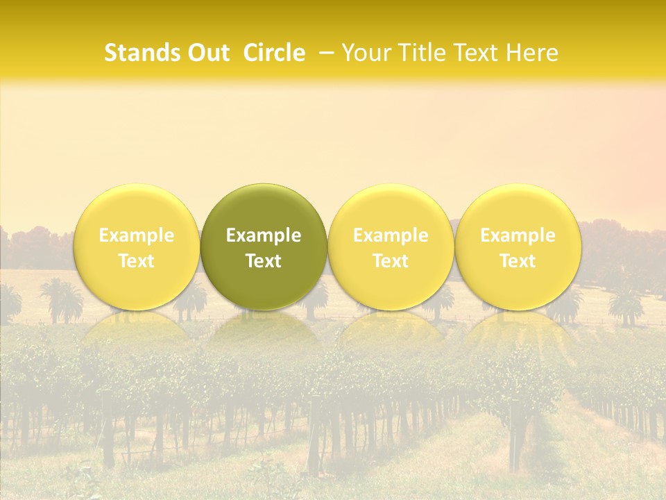 Tourism Blue Barossa PowerPoint Template