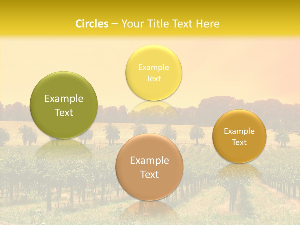 Tourism Blue Barossa PowerPoint Template