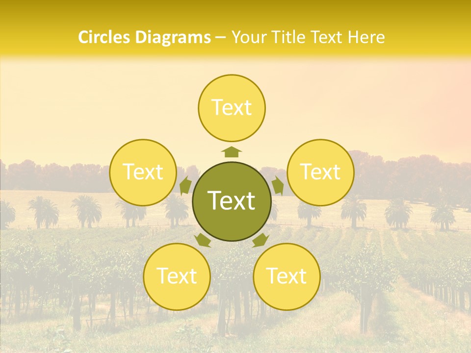 Tourism Blue Barossa PowerPoint Template