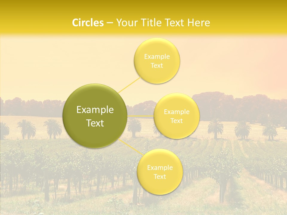 Tourism Blue Barossa PowerPoint Template