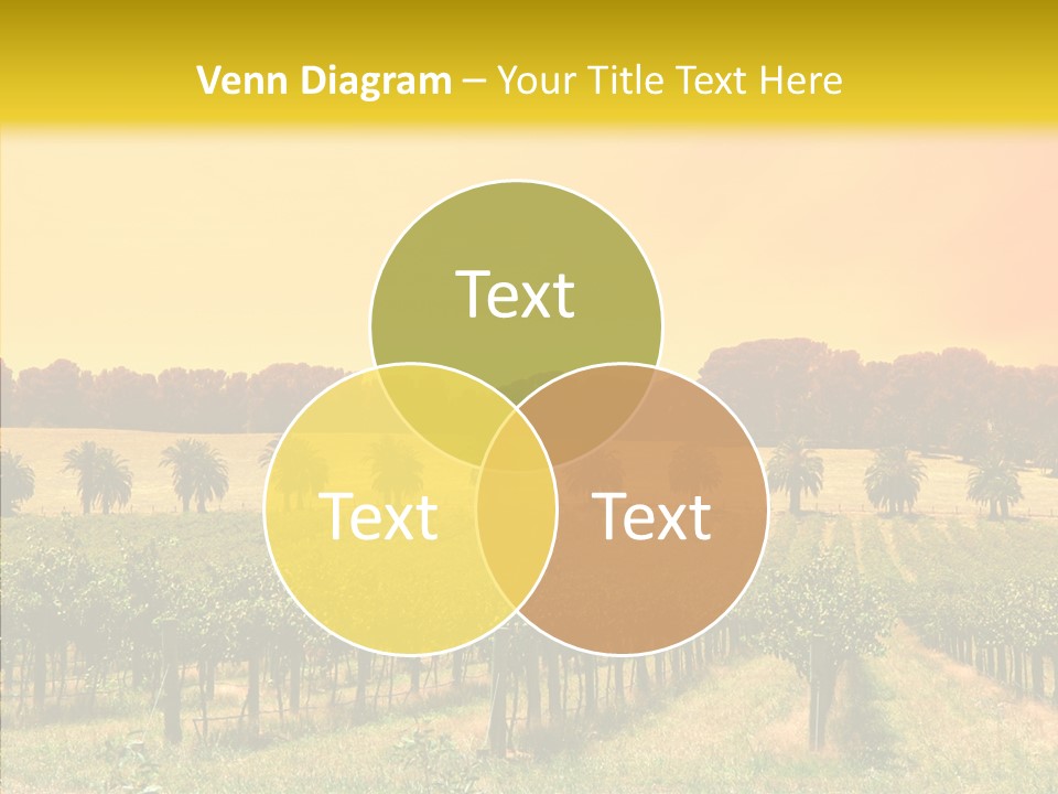 Tourism Blue Barossa PowerPoint Template