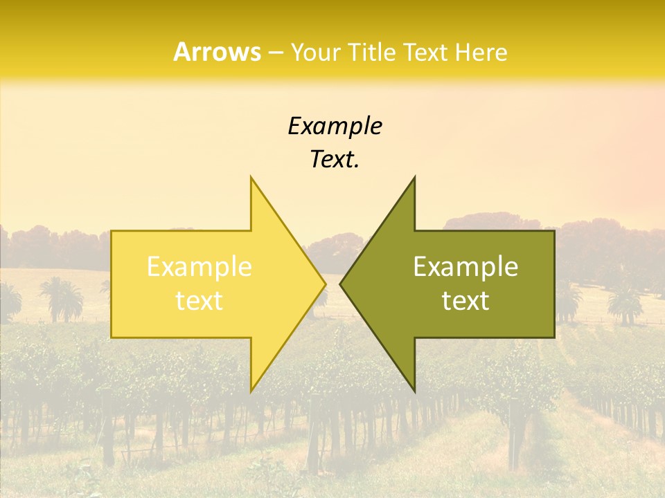 Tourism Blue Barossa PowerPoint Template