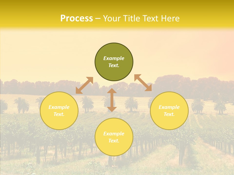 Tourism Blue Barossa PowerPoint Template