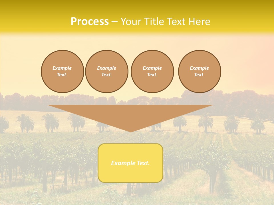 Tourism Blue Barossa PowerPoint Template