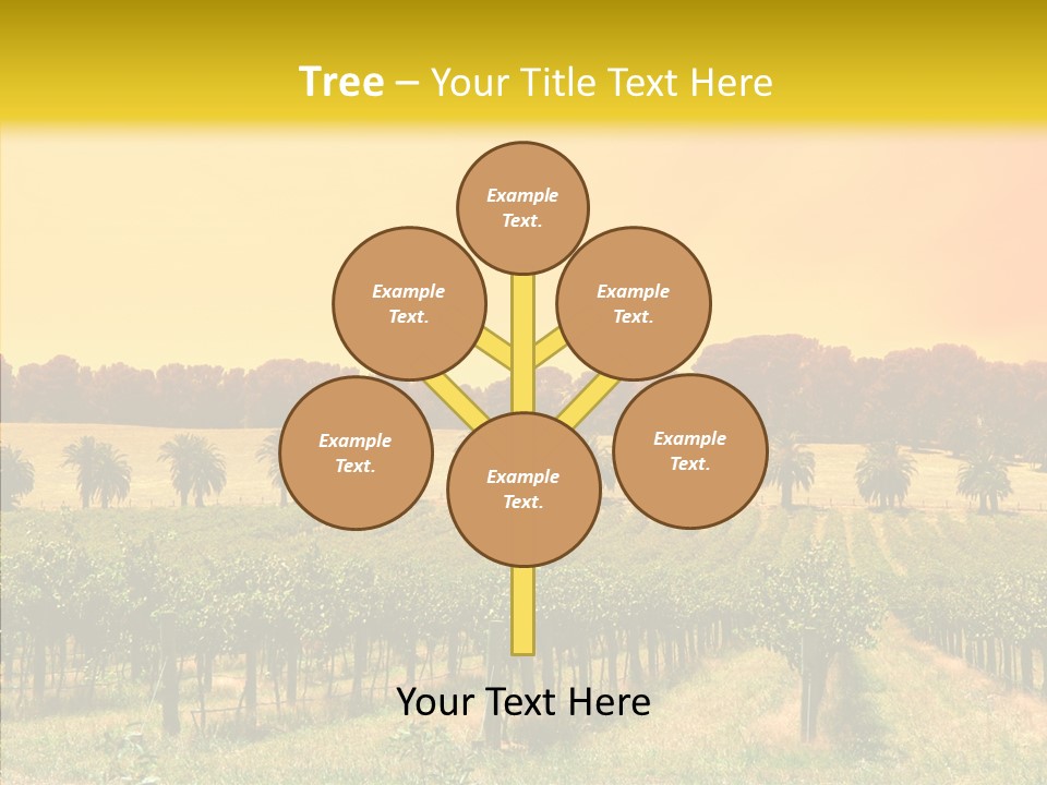 Tourism Blue Barossa PowerPoint Template