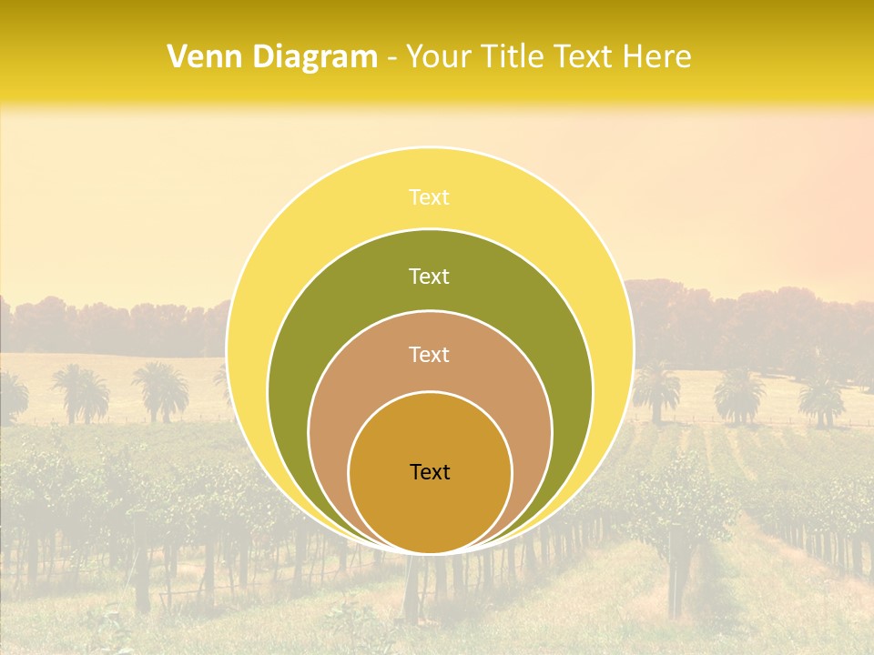 Tourism Blue Barossa PowerPoint Template