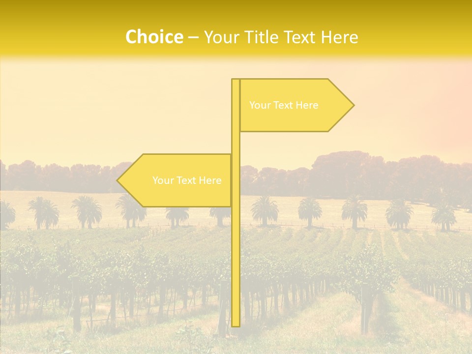 Tourism Blue Barossa PowerPoint Template