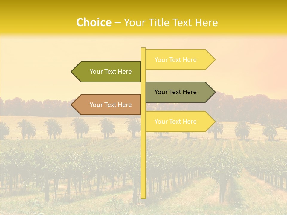 Tourism Blue Barossa PowerPoint Template