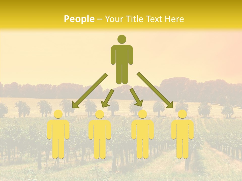 Tourism Blue Barossa PowerPoint Template