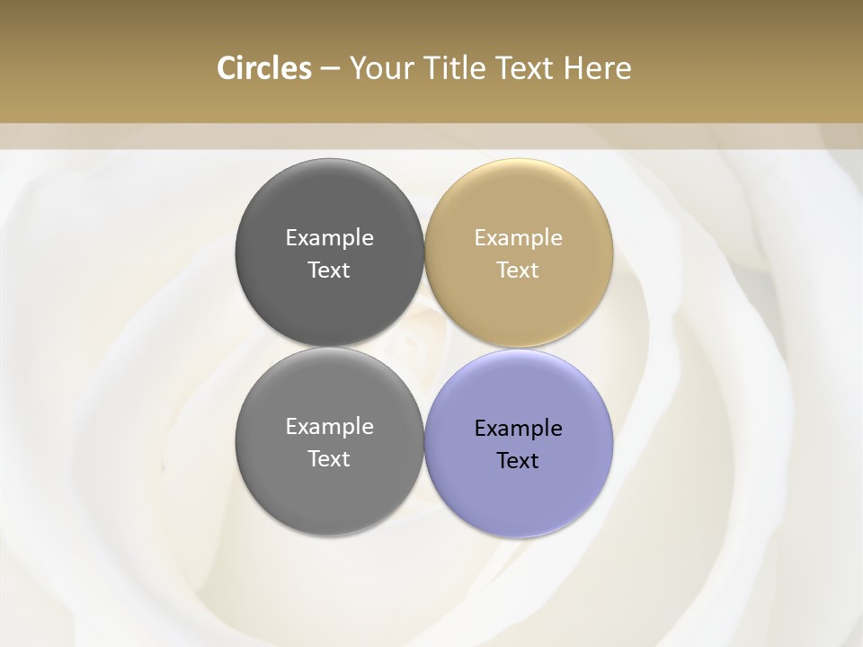 Hobby Flower Garden PowerPoint Template