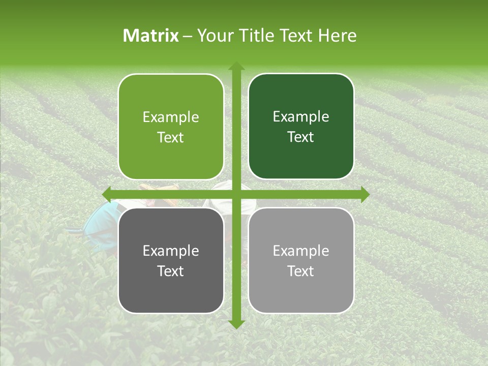 Nature Pluck China PowerPoint Template