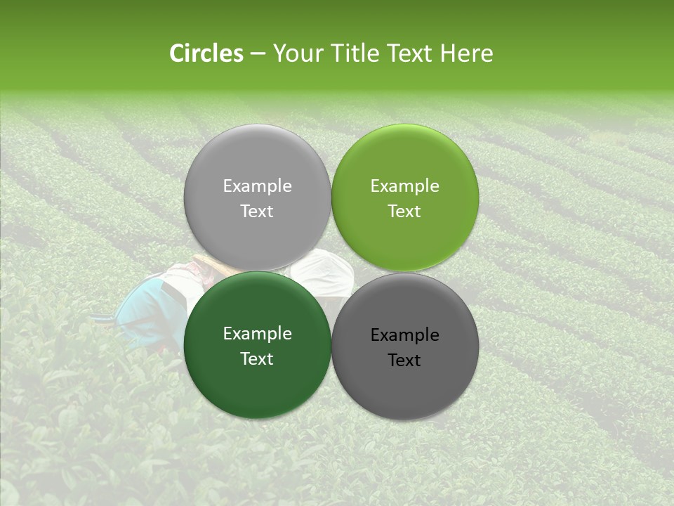 Nature Pluck China PowerPoint Template