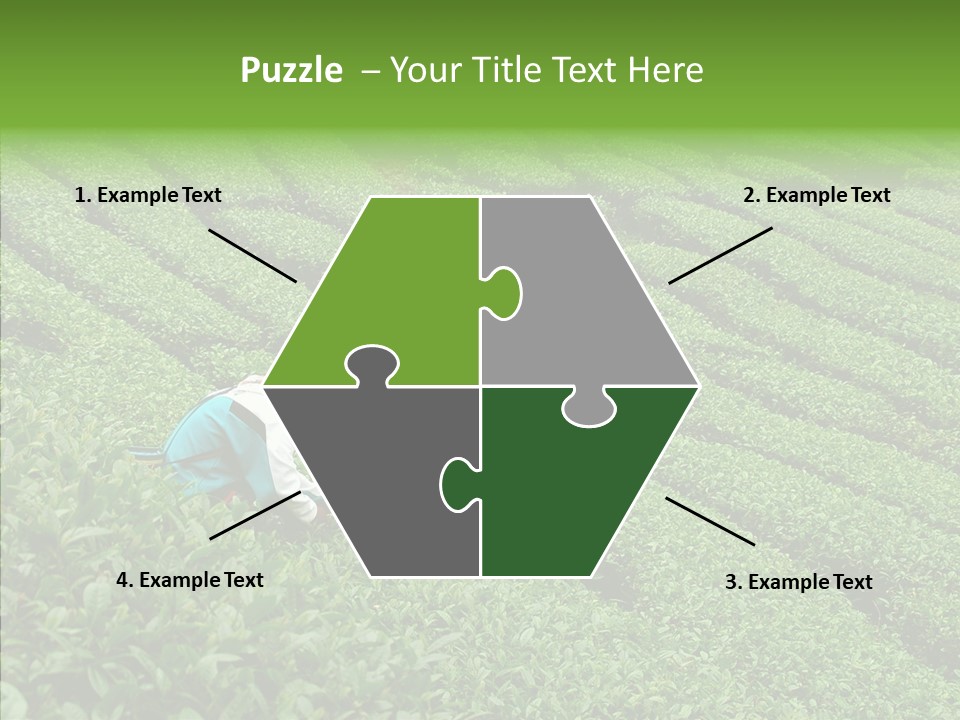 Nature Pluck China PowerPoint Template