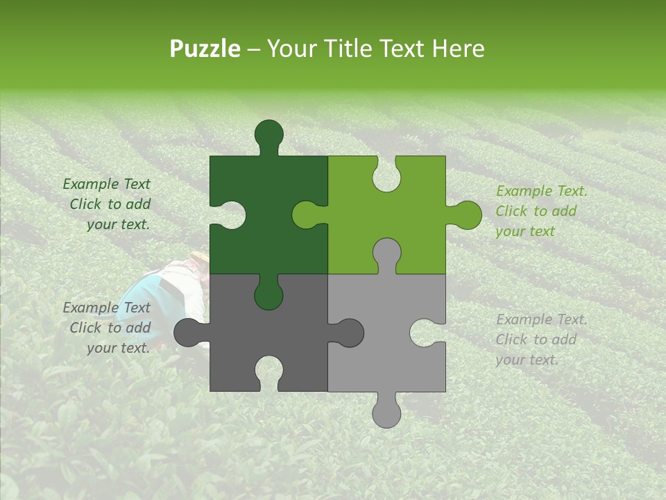 Nature Pluck China PowerPoint Template