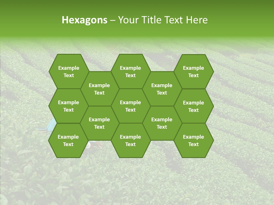 Nature Pluck China PowerPoint Template