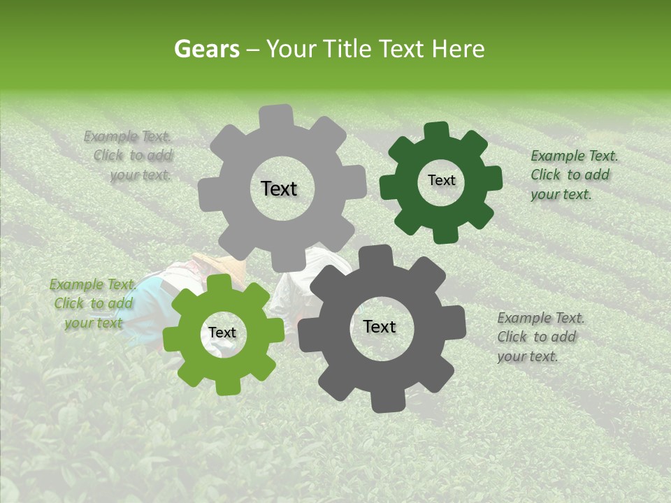 Nature Pluck China PowerPoint Template