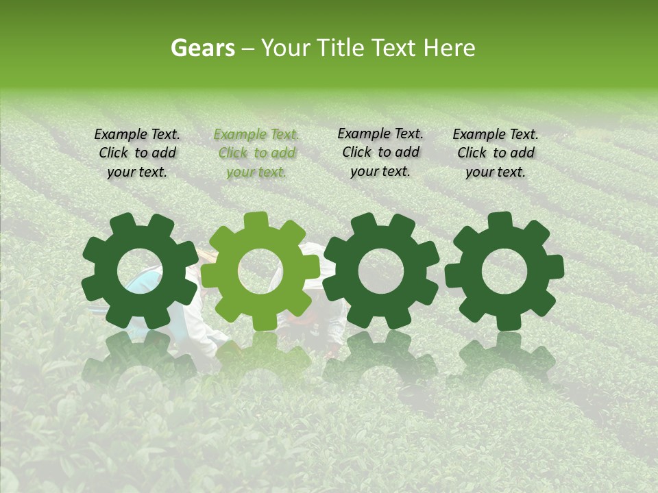 Nature Pluck China PowerPoint Template