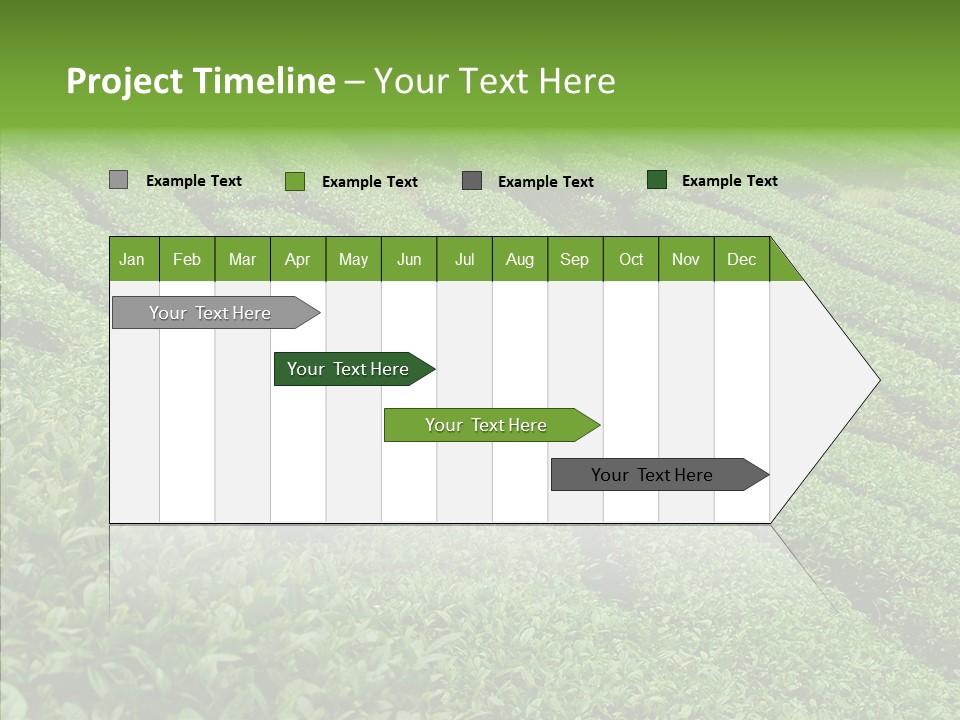 Nature Pluck China PowerPoint Template