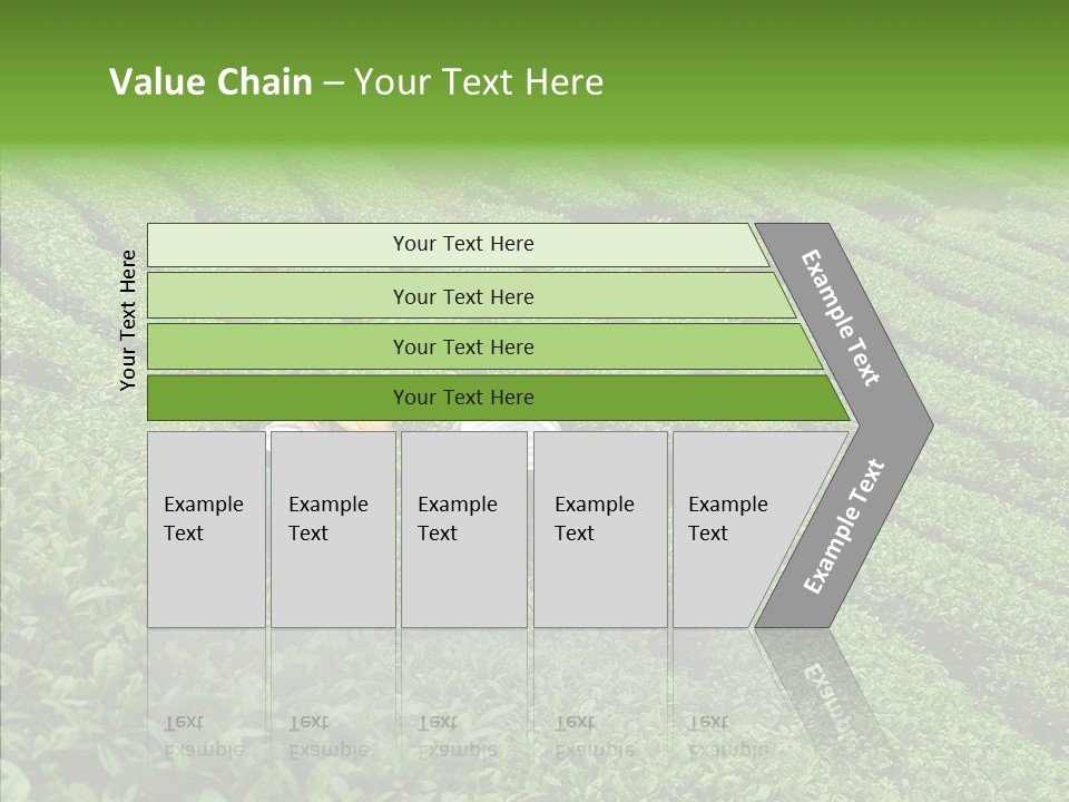 Nature Pluck China PowerPoint Template