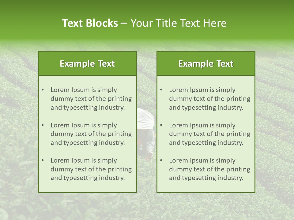 Nature Pluck China PowerPoint Template