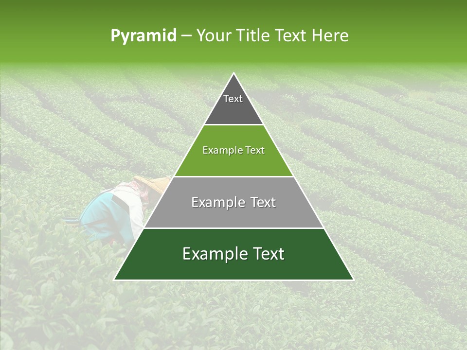 Nature Pluck China PowerPoint Template