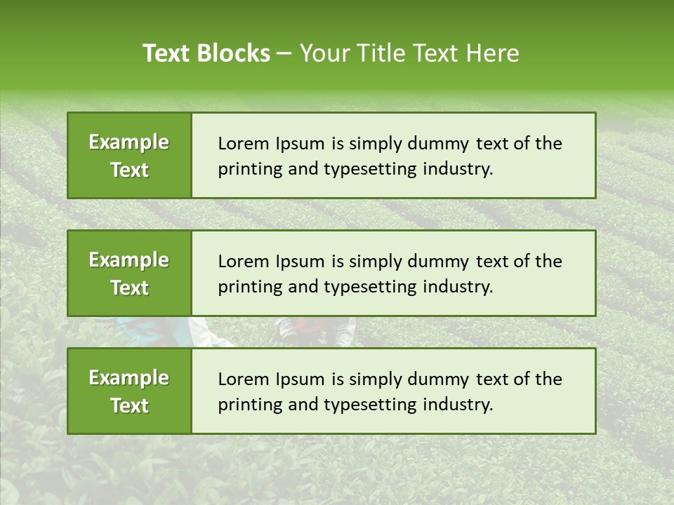 Nature Pluck China PowerPoint Template