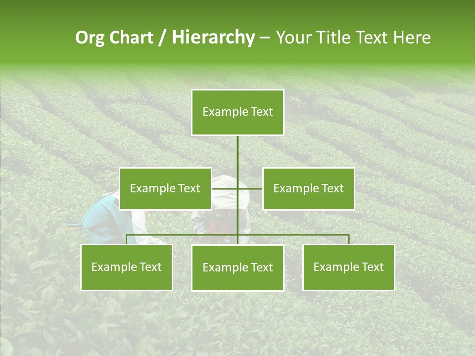 Nature Pluck China PowerPoint Template