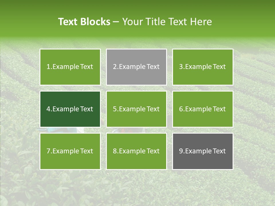 Nature Pluck China PowerPoint Template