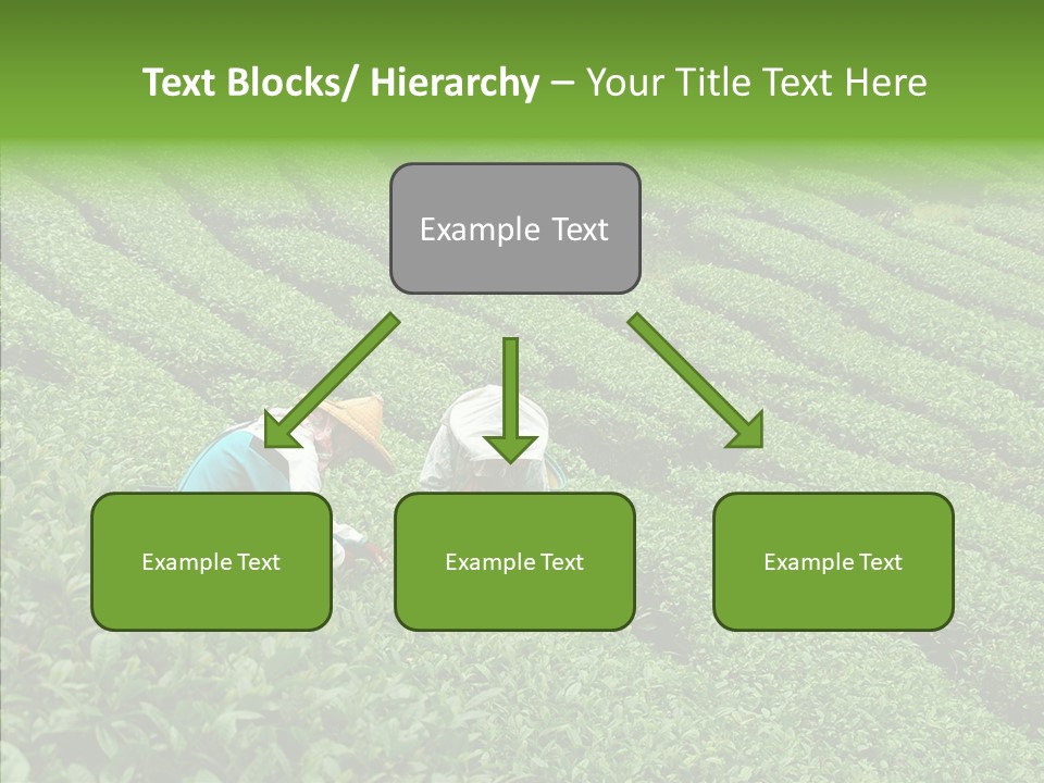 Nature Pluck China PowerPoint Template