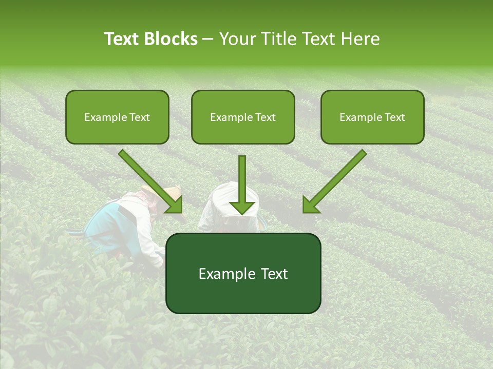 Nature Pluck China PowerPoint Template