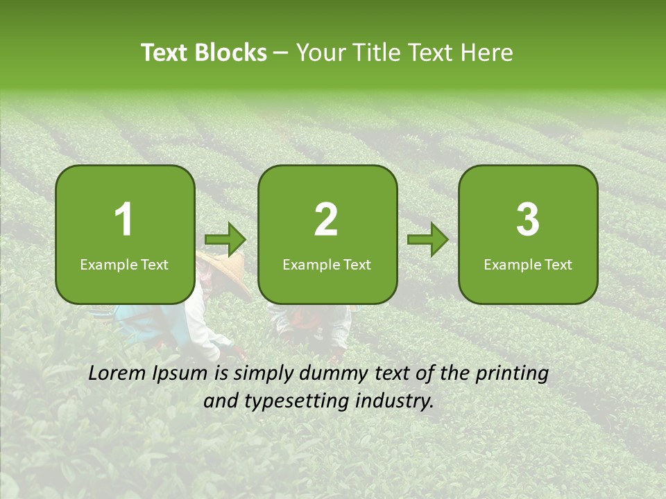 Nature Pluck China PowerPoint Template