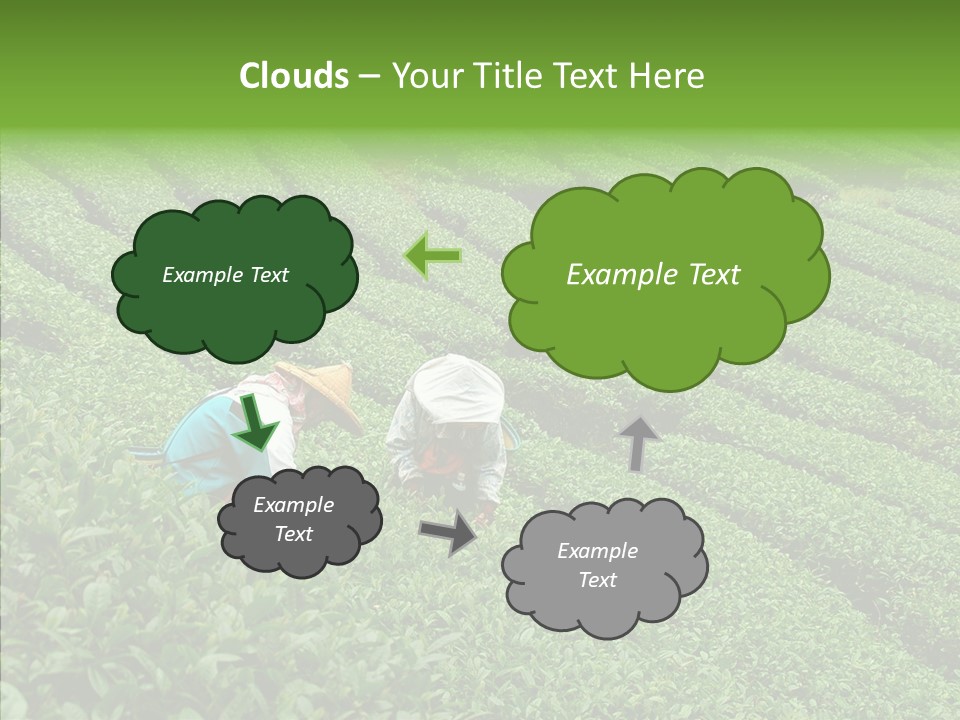 Nature Pluck China PowerPoint Template