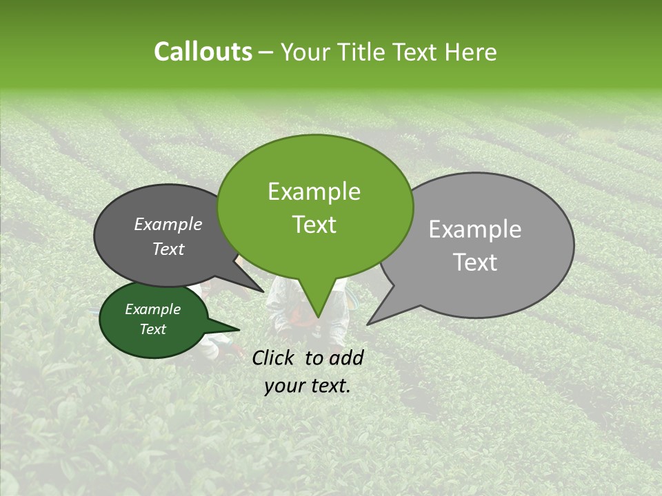 Nature Pluck China PowerPoint Template