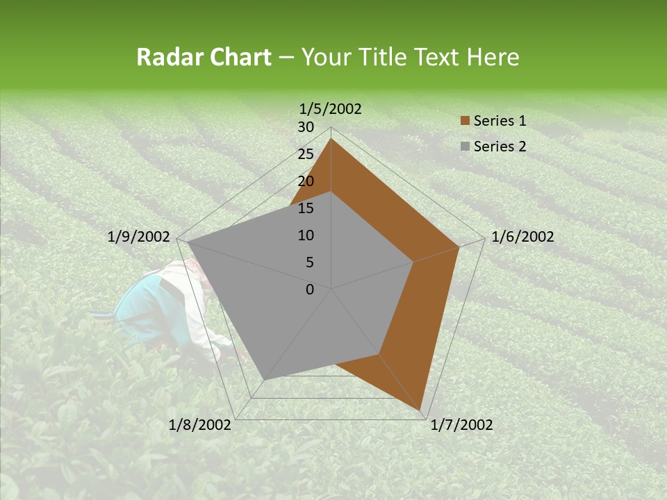 Nature Pluck China PowerPoint Template